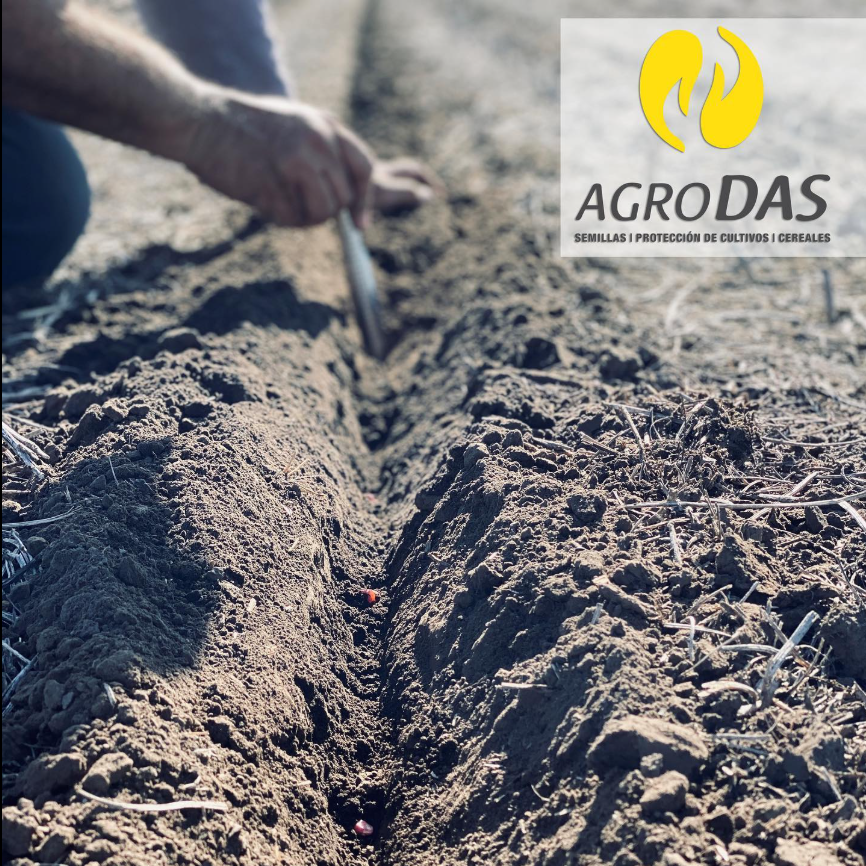 Campo agropecuario de Agrodas